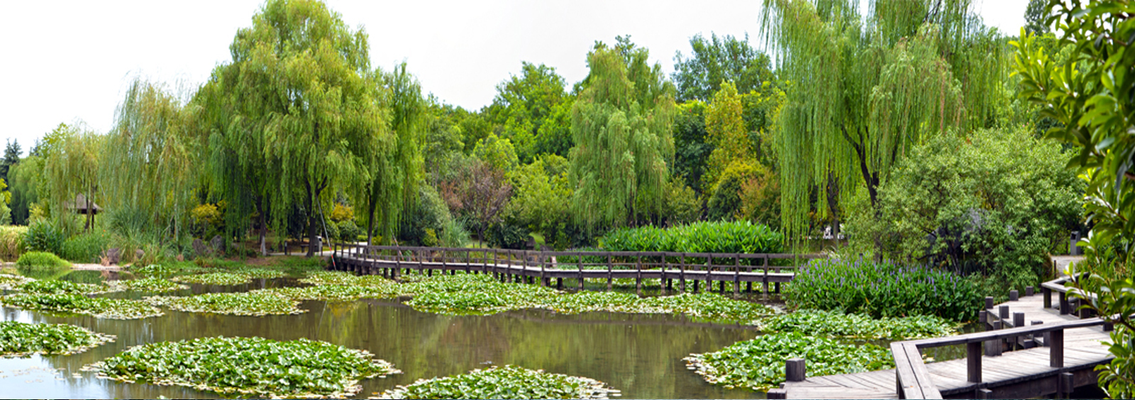url(http://www.168tk.cn/theme/TP000163/pic/banner4.jpg)