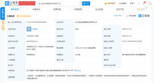 信息技術咨詢服務 賦能企業數字化轉型